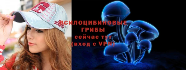 бошки Володарск