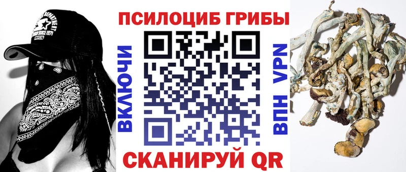 Псилоцибиновые грибы MAGIC MUSHROOMS  Балашиха 